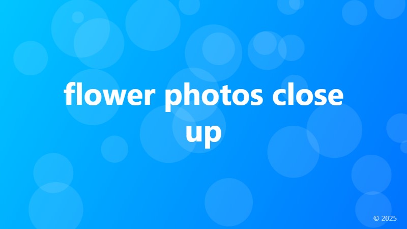 flower photos close up